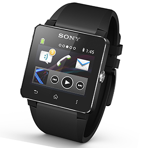 Sony SW2