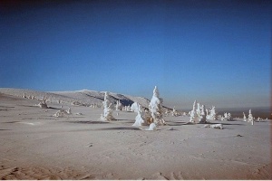 Efekt winietowania na fotografii