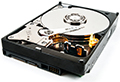 Logo WD